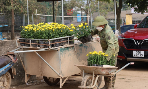 Làng hoa Xuân Quan nhộn nhịp những ngày cận Tết 